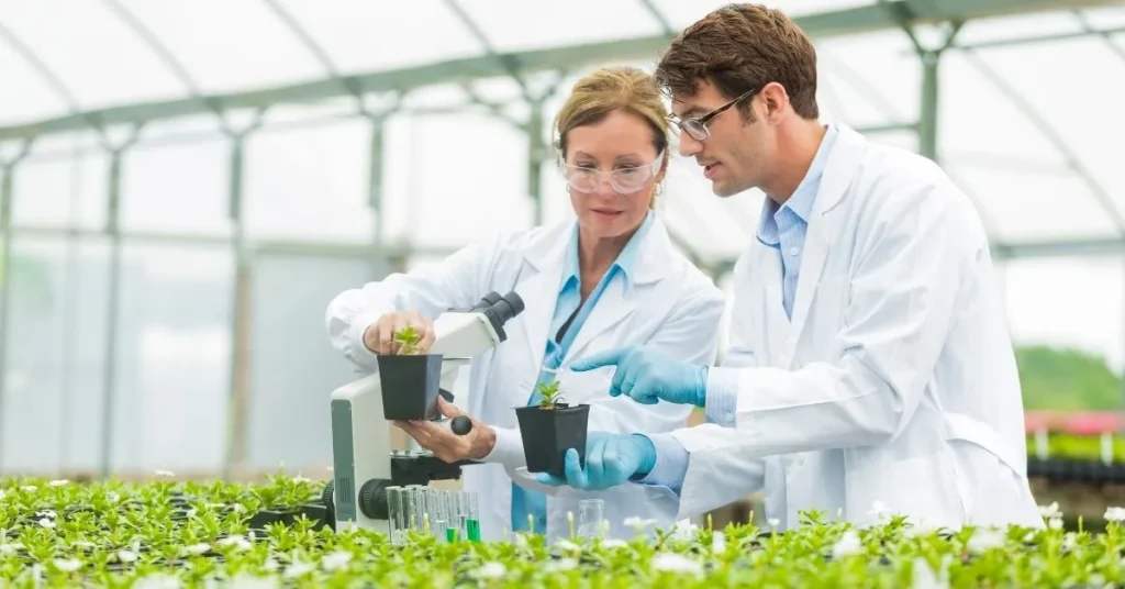 Botany Dissertation Topics