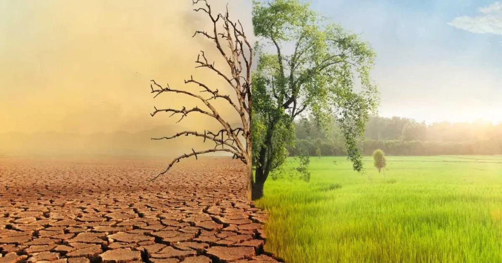 Climate Change Dissertation Topics